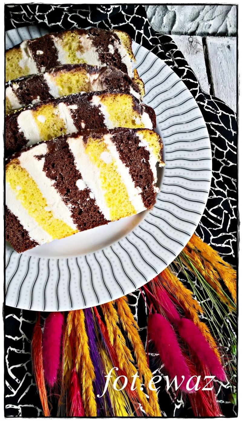 Kokosowy metrowiec  Kokosowy metrowiec