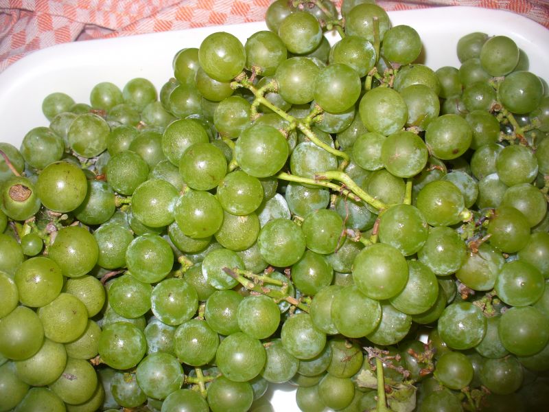 Koktajl z winogronemi, dynią i borówkami