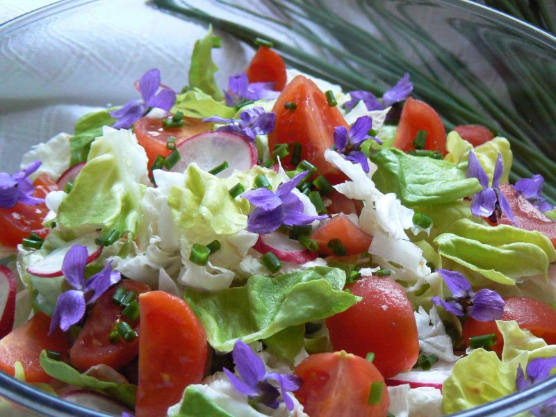 Kolorowa sałatka