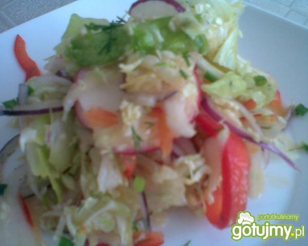 Kolorowa surówka. Kolorowa surówka.