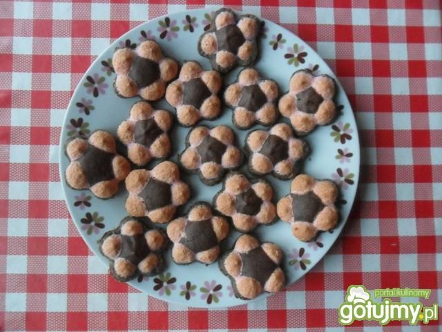 Kolorowe ciasteczka Kolorowe ciasteczka