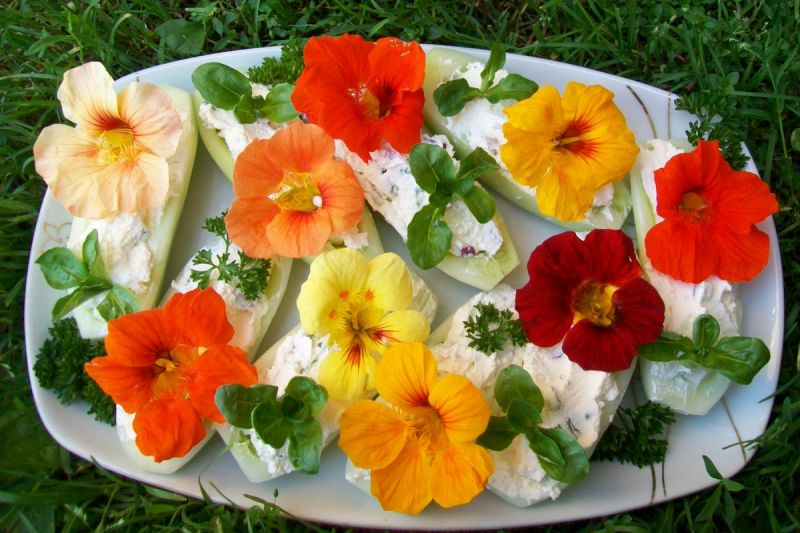 Kolorowe ogórkowe łódeczki  Kolorowe ogórkowe łódeczki