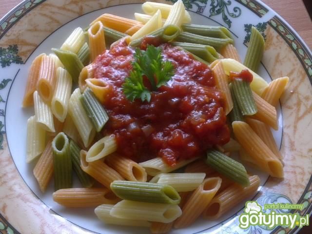 Kolorowe penne z sosem pomidorowym 