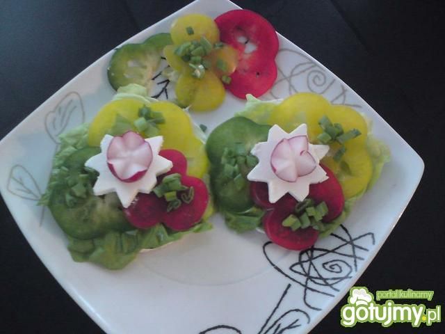 Kolorowe zdrowe kanapeczki.