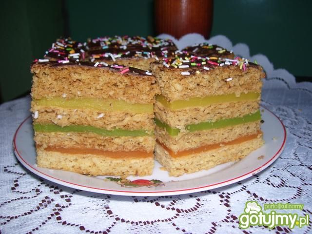 Kolorowiec 5 Kolorowiec 5