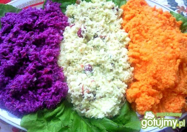 Kolorowy bukiet surówek 