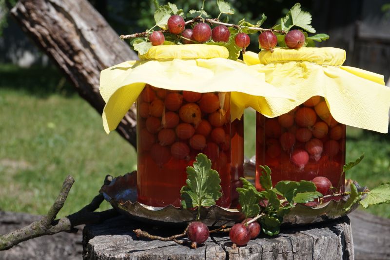 Kompot agrestowy na zimę