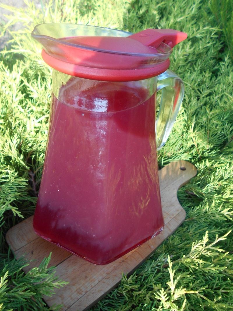 Kompot czereśniowy Kompot czereśniowy