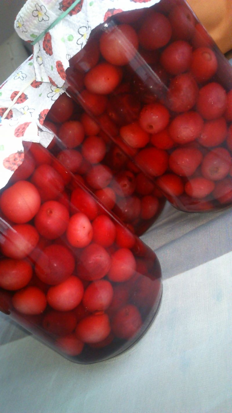 Kompot czereśniowy na zimę