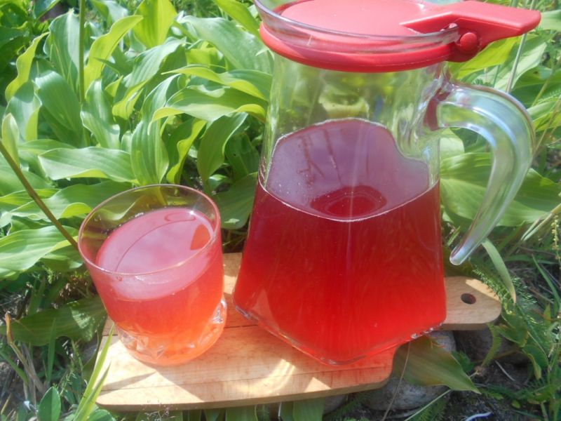 Kompot owocowy z rabarbarem