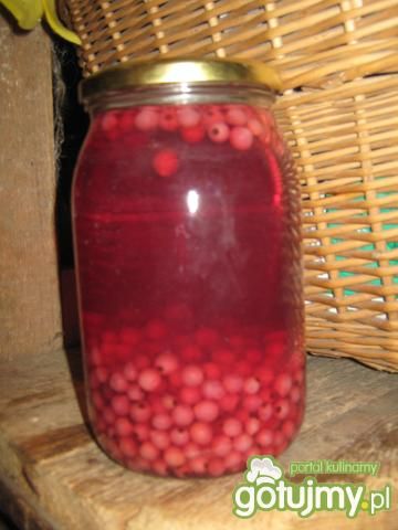 Kompot porzeczkowy Kompot porzeczkowy