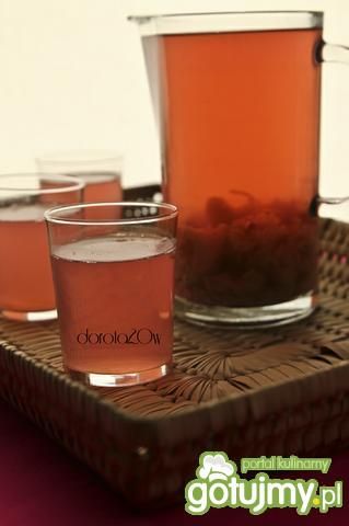 Kompot rabarbarowo-jabłkowy Kompot rabarbarowo-jabłkowy