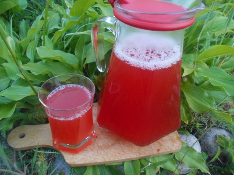 Kompot wieloowocowy