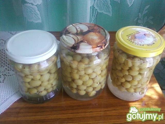 Kompot z agrestu wg Eli Kompot z agrestu wg Eli