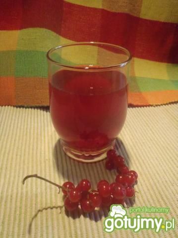 Kompot z czerwonych porzeczek Kompot z czerwonych porzeczek