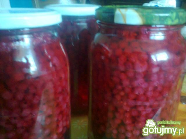 Kompot z czerwonych porzeczek Kompot z czerwonych porzeczek