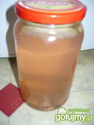 Kompot z jabłek Kompot z jabłek