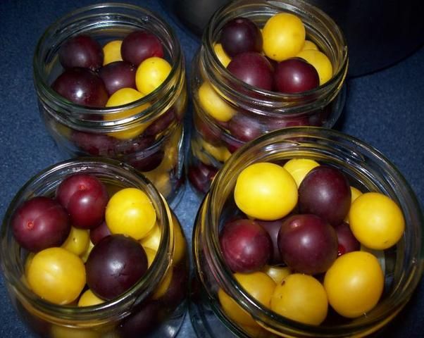 Kompot z kolorowych mirabelek 