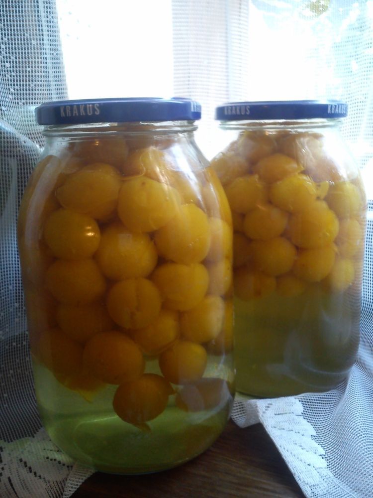 Kompot z mierabelek  Kompot z mierabelek