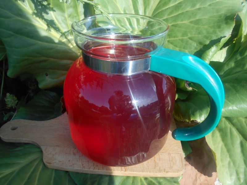 Kompot z nektarynkami Kompot z nektarynkami