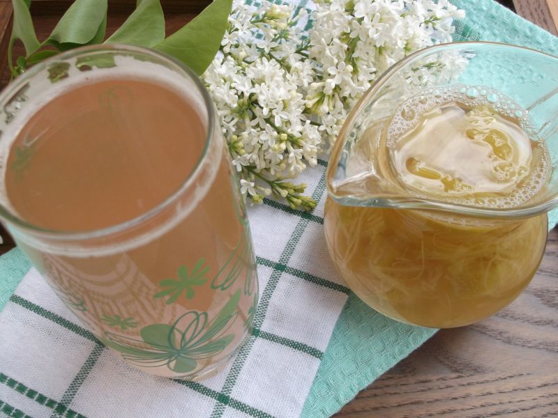 Kompot z rabarbaru Kompot z rabarbaru