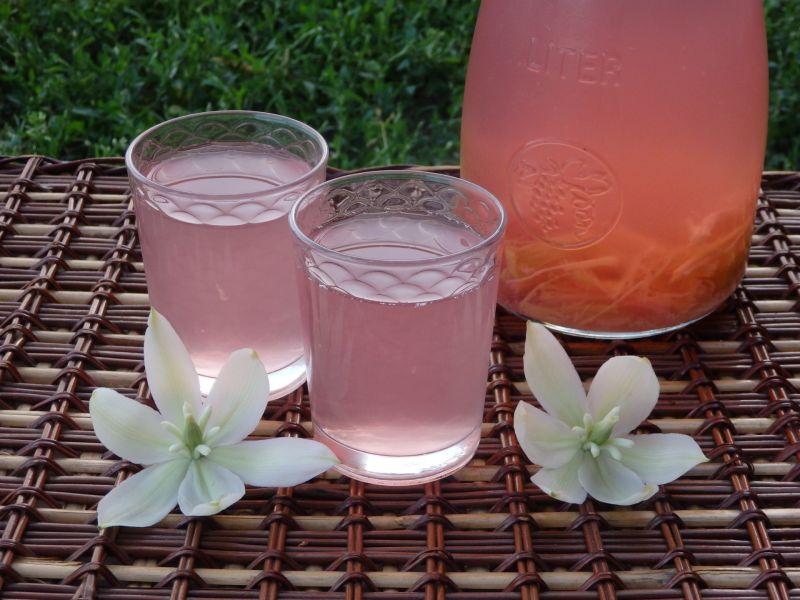 Kompot z rabarbaru Kompot z rabarbaru