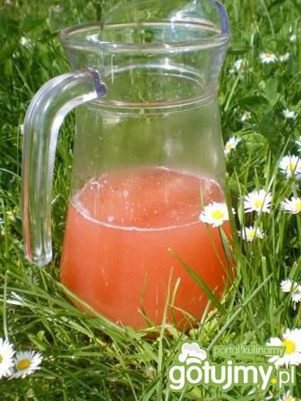 Kompot z rabarbaru Kompot z rabarbaru