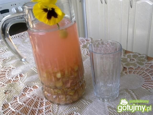 Kompot z rabarbaru i agrestu Kompot z rabarbaru i agrestu