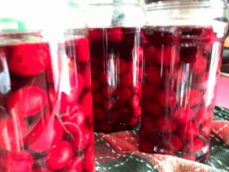 Kompot z wiśni i goździków na zimę