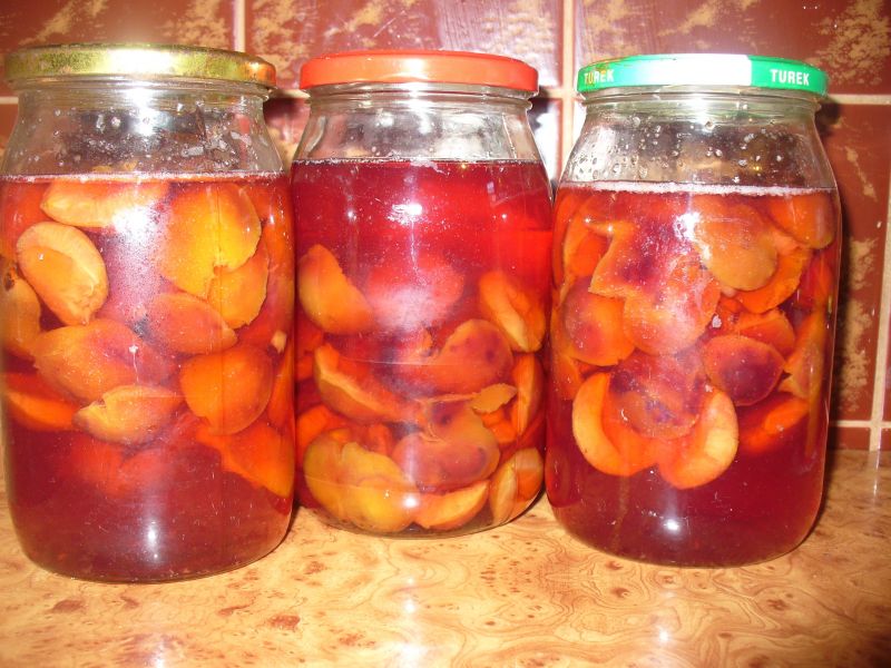 Kompot ze śliwek Kompot ze śliwek