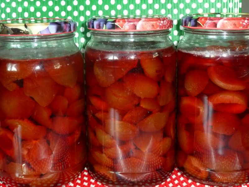 Kompot ze śliwek węgierek Kompot ze śliwek węgierek