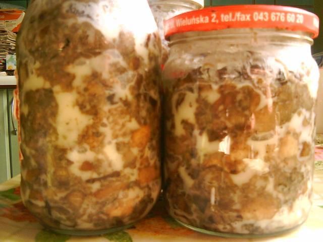 Konserwa z grzybów w smalcu