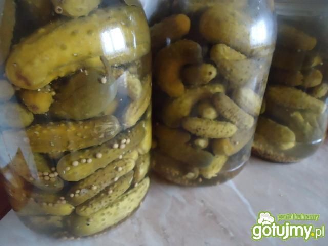 Konserwowe ogórki (korniszony) Konserwowe ogórki (korniszony)