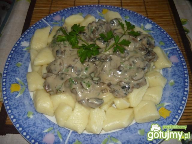 Kopytka z pieczarkowo-kremowym sosem Kopytka z pieczarkowo-kremowym sosem