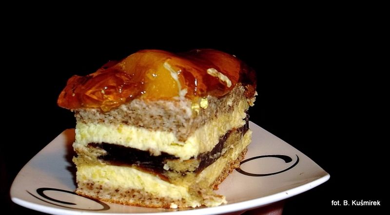 Kora dębu lub dębowa kora