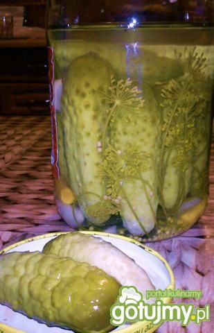 Korniszony 5 Korniszony 5