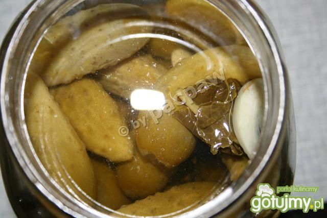 Korniszony Korniszony