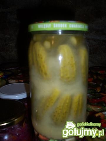 Korniszony w musztardzie Korniszony w musztardzie