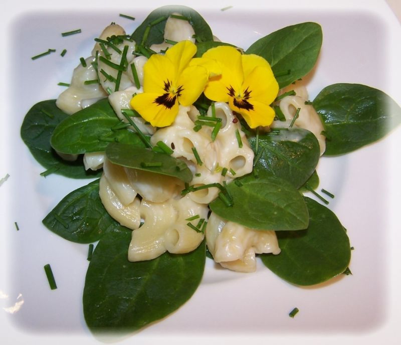 Kozie kolanka przekładane szpinakiem