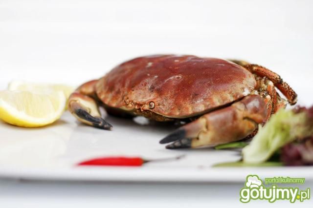 Krab gotowany Krab gotowany
