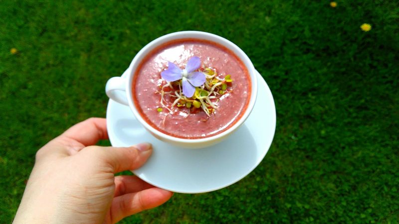 Krem botwinkowo-kokosowy z kiełkami