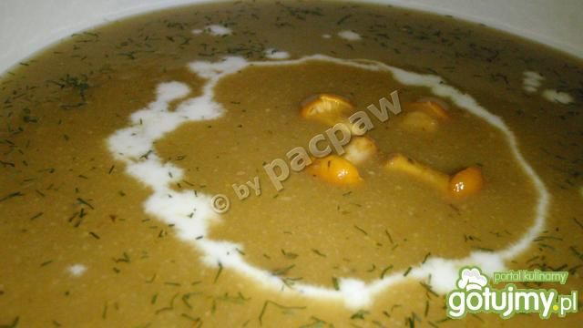 Krem kurkowy Krem kurkowy