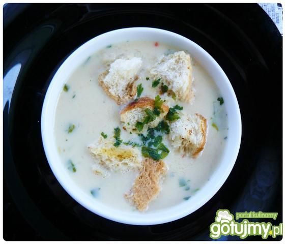 Krem serowo - cebulowy z grzankami  Krem serowo - cebulowy z grzankami