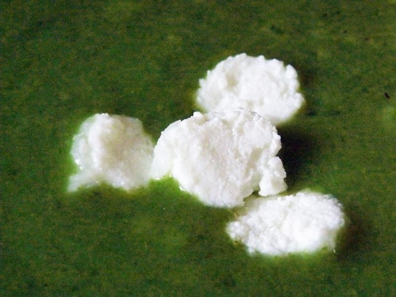 Krem szpinakowy z fetą i czosnkiem