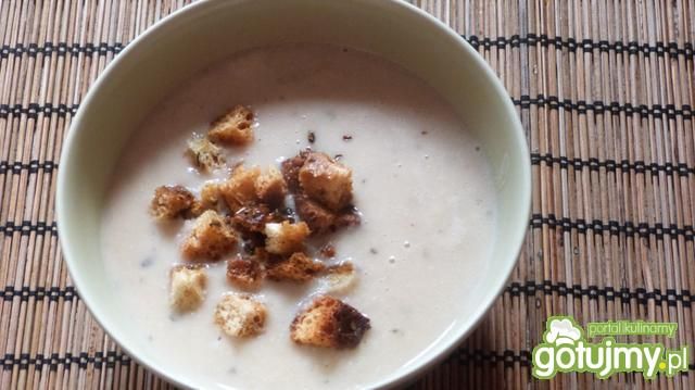 Krem z białej fasoli Krem z białej fasoli