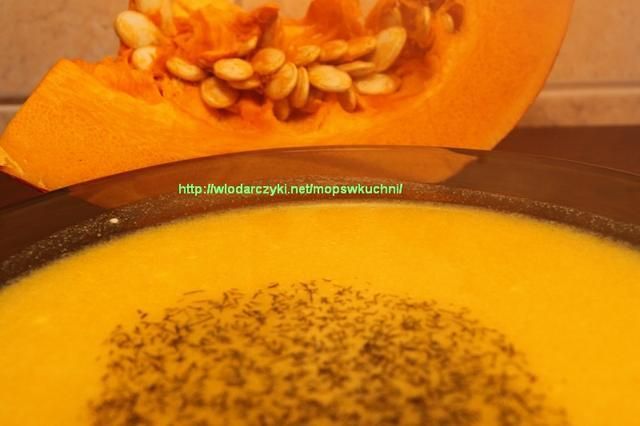Krem z dyni à la mops Krem z dyni à la mops