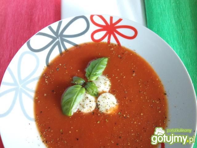 Krem z pomidorów wg Alex