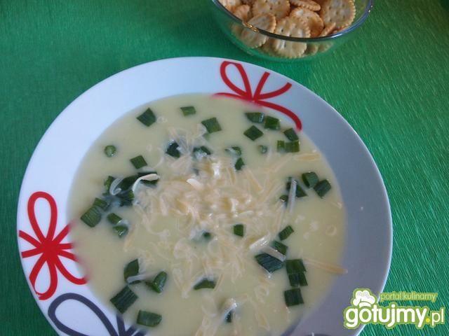 Krem ziemniaczano-porowy