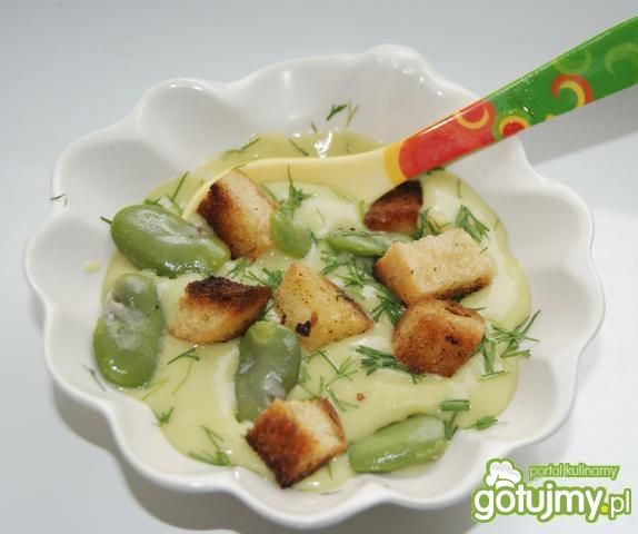 Kremowa zupa z bobu Kremowa zupa z bobu