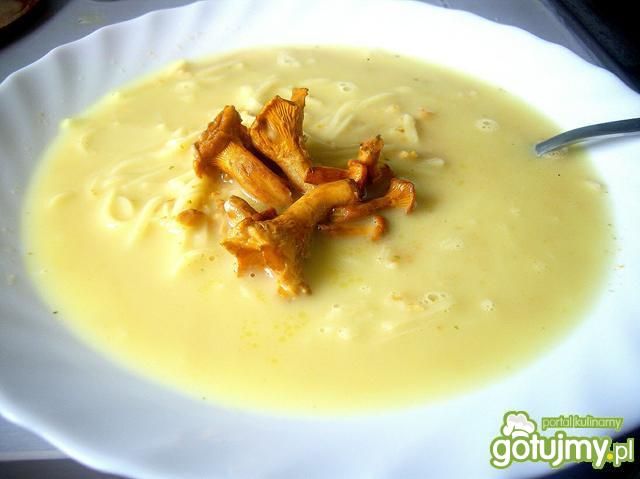 Kremowa zupa z kurek 4 Kremowa zupa z kurek 4